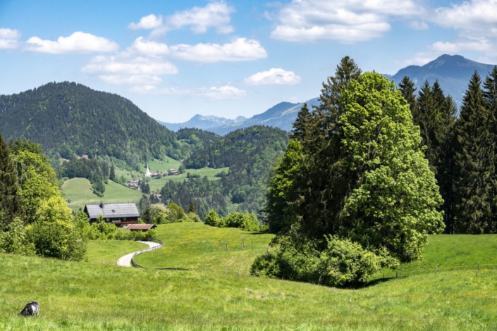 Blick nach Tiefenbach